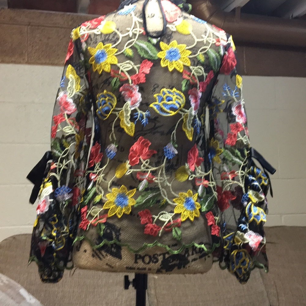 Embroidered Mesh Top - Picture 2 of 3